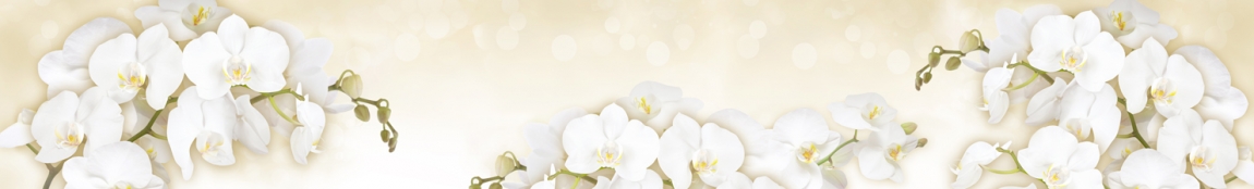 skinali 3887